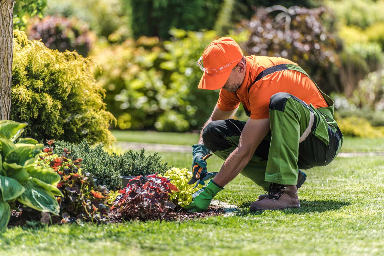 Gardening
